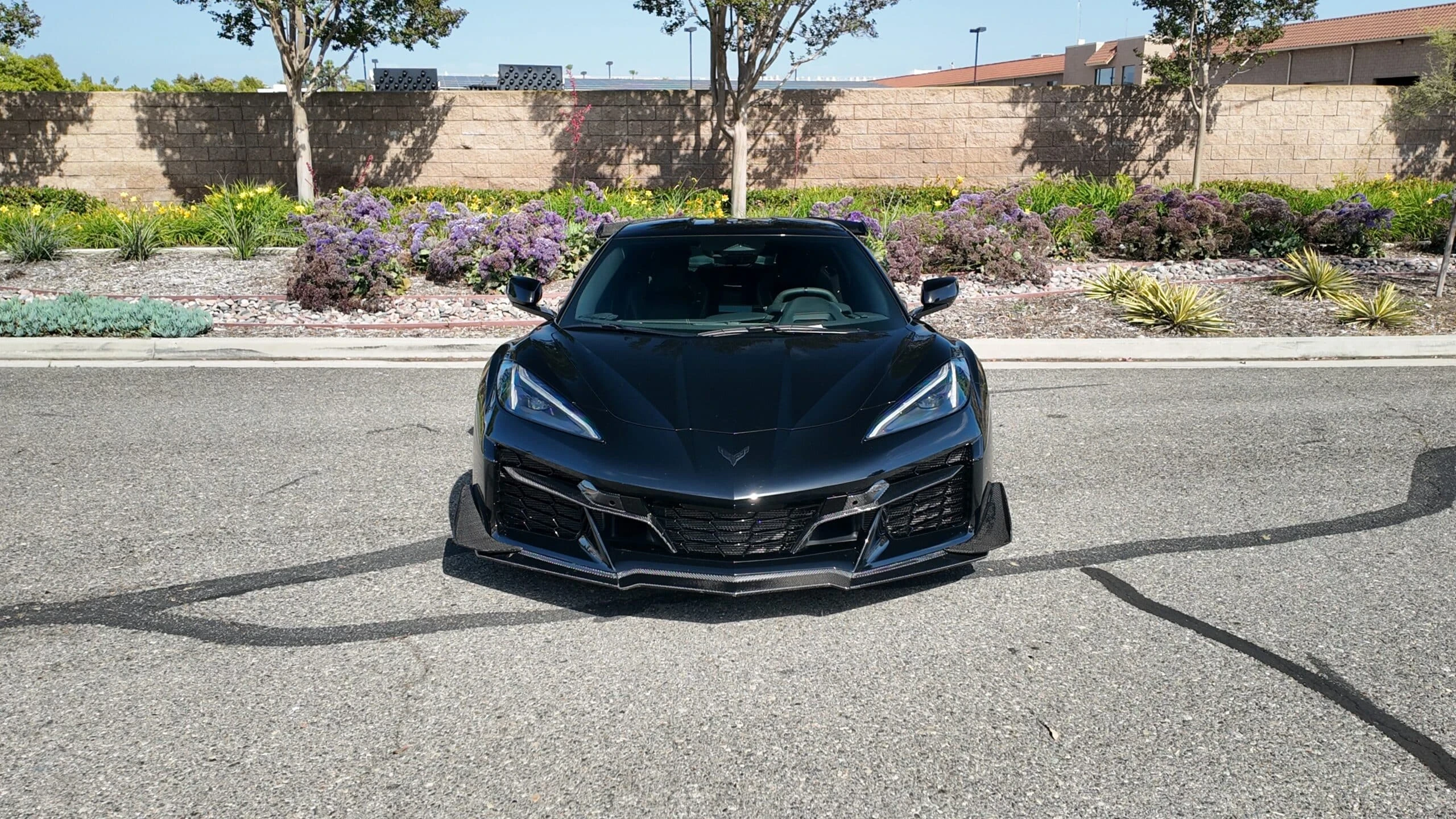 Chevrolet Corvette Z06 detail view selected for MCARS